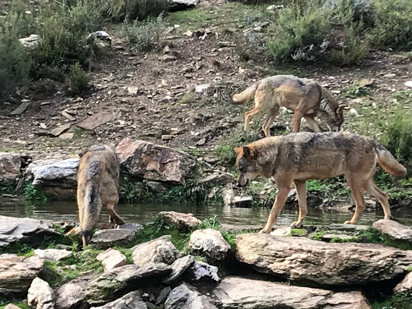 Detalle del entorno rural de Sanabria cerca de El Horno